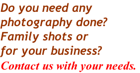 Do you need any  photography done? Family shots or  for your business?  Contact us with your needs.